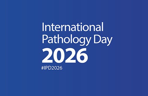 IPD 2026_square