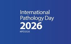 IPD 2026_square