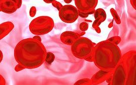 red-blood-cell-blood-vessel-thumbnail-copy.jpg