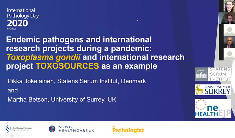 Endemic pathogens and international research projects during a pandemic: Toxoplasma gondii and international research project TOXOSOURCES as an example