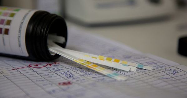 Test Bo Bringing diagnosis closer to patients