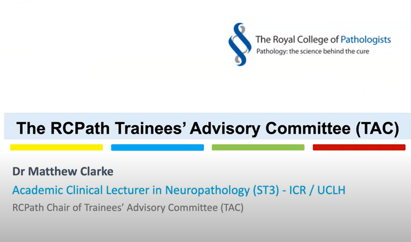 3.	Trainees' Advisory Committee 