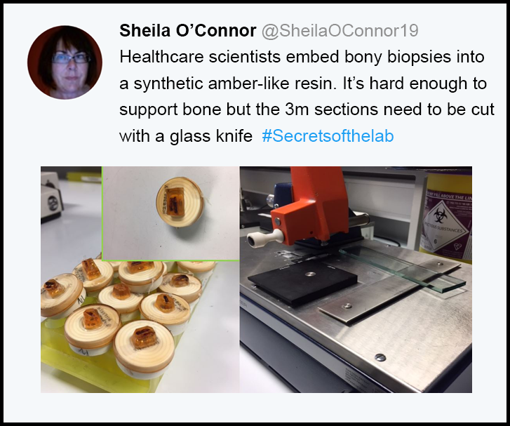 Shelia O Connor tweet example.png