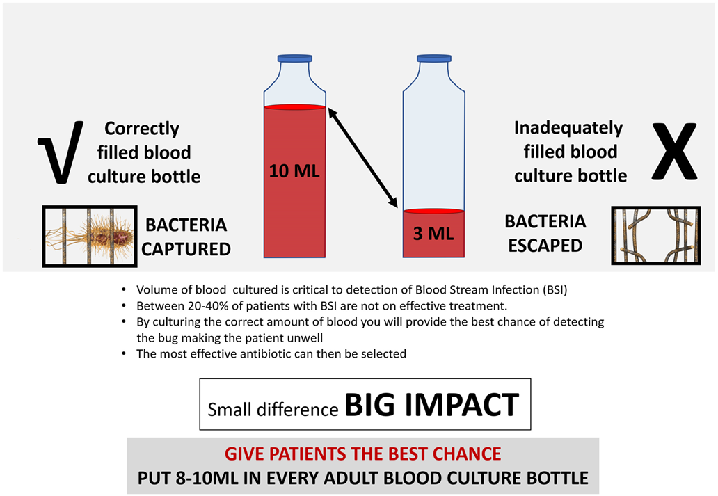 Blood culture pathway bulletin image chart.png