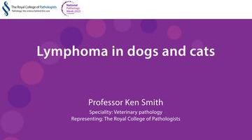 Professor Ken Smith_thumbnail