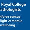 Image of Workforce Census 2025: Morale and wellbeing of the pathology workforce