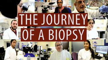 thumbnail for youtube.png 1