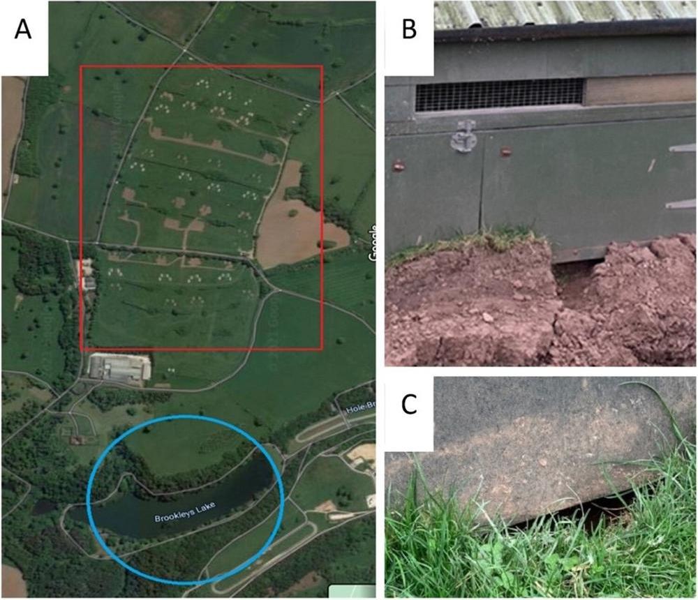 2 Figure A, B, C Reid et al 2024