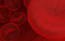 Red blood cells (Stock) full.jpg