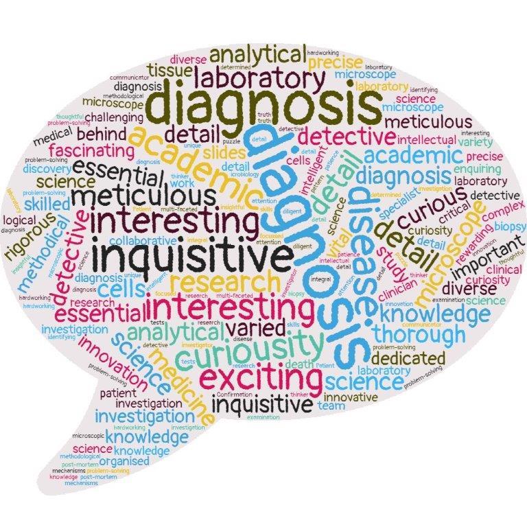 Wordcloud representation of attendees’ perception of pathology prior to the taster event.