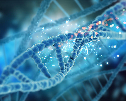 A 3D illustration of a DNA helix.