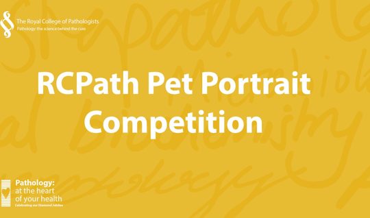 RCPath Pet Portrait Competition 2022
