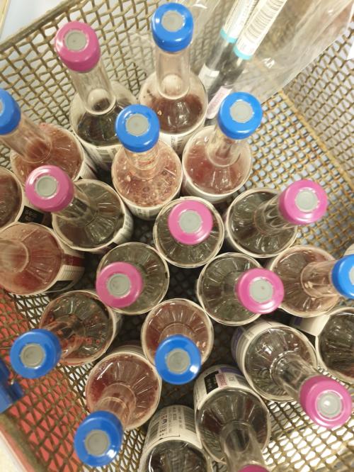 Blood culture samples that have been analysed in the laboratory.