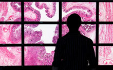 Digital pathology display partial image.jpg